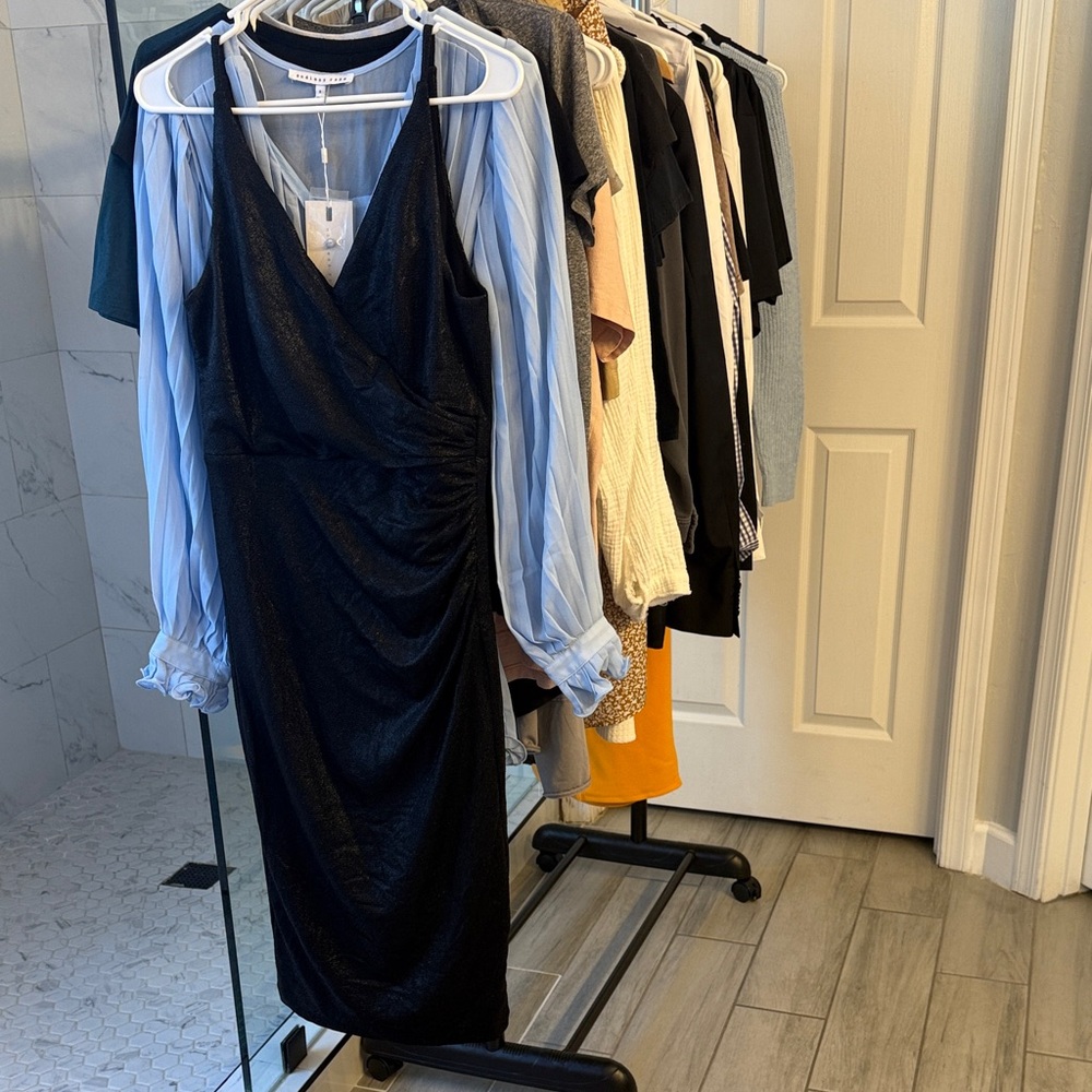 Dress the Population Black Dress with Blue Sheer Sleeves